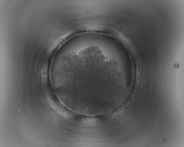 X0000112110202200908111450