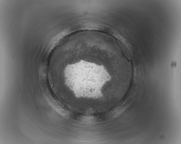 X0000112110203200908111450