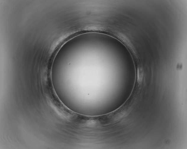 X0000112110204200908111450