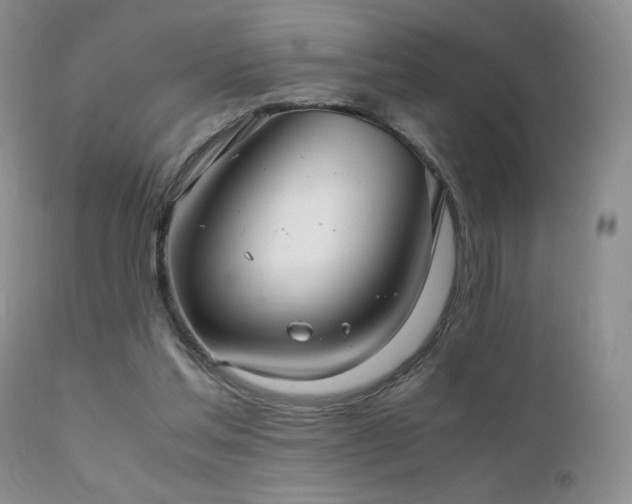 X0000112110205200908111450