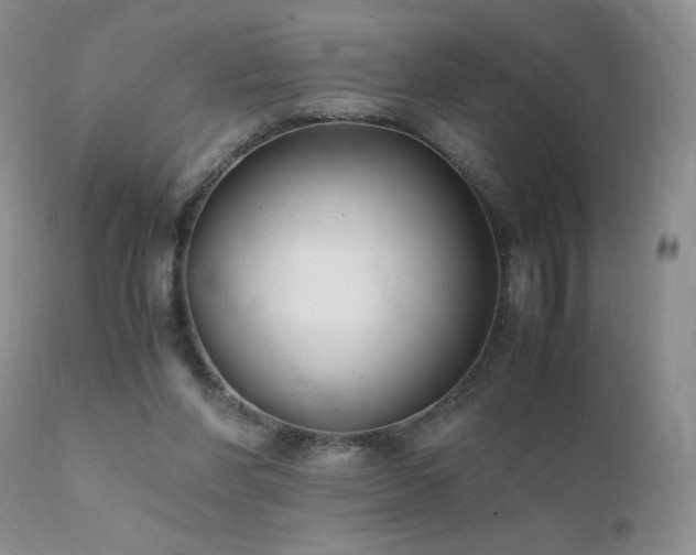 X0000112110206200908111450