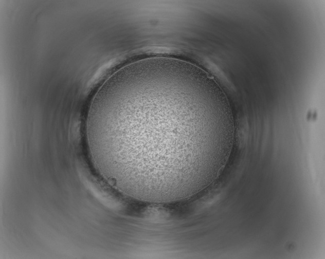 X0000112110207200908111450