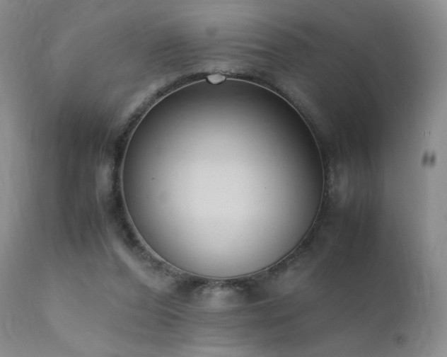 X0000112110208200908111450