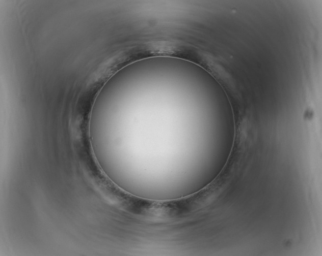 X0000112110209200908111450