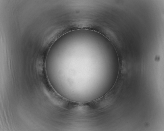 X0000112110210200908111450