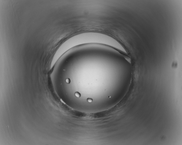 X0000112110211200908111450