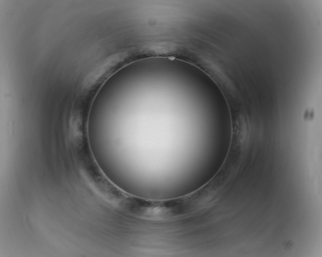 X0000112110212200908111450