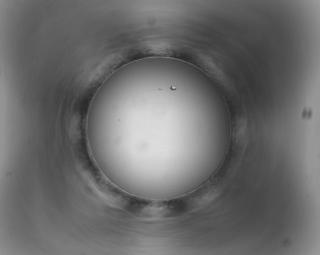 X0000112110213200908111450