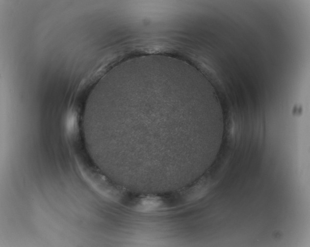 X0000112110214200908111450