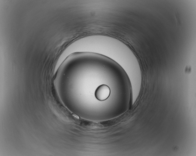 X0000112110215200908111450