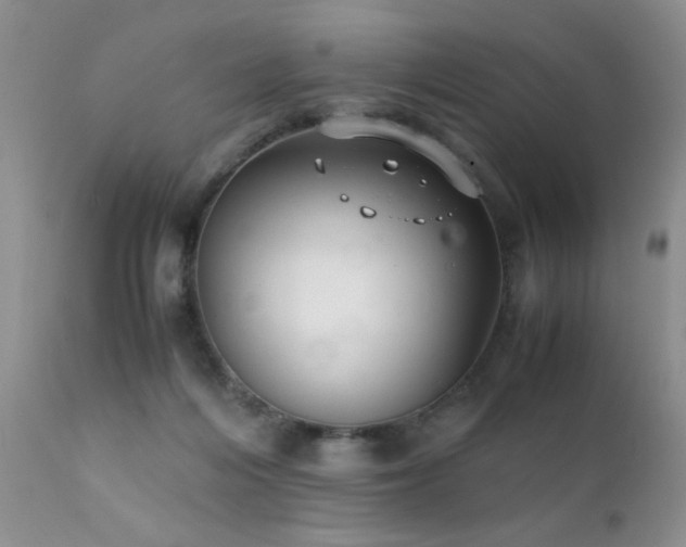 X0000112110216200908111450