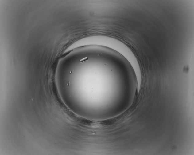 X0000112110219200908111450