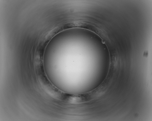 X0000112110220200908111450