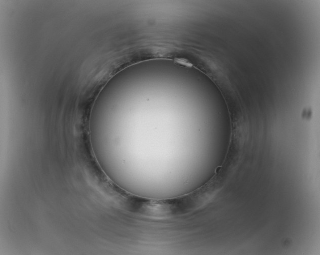 X0000112110221200908111450