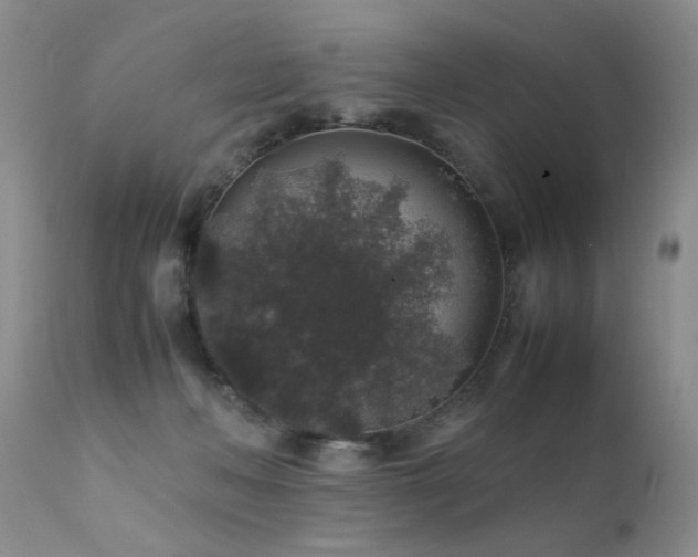 X0000112110222200908111450