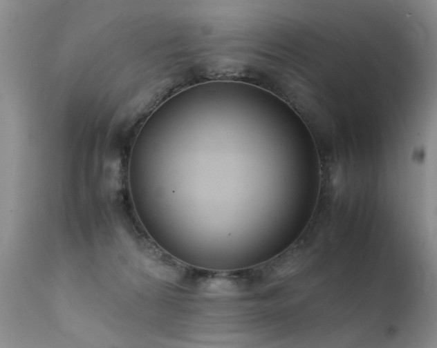 X0000112110224200908111450