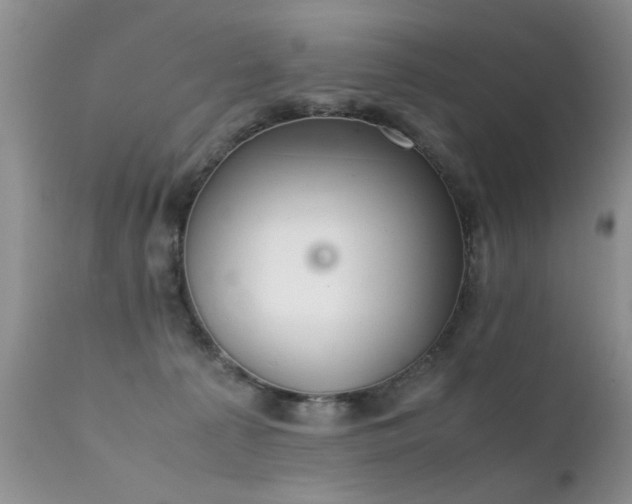 X0000112110225200908111450