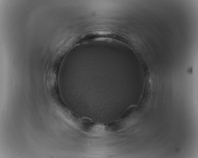 X0000112110227200908111450