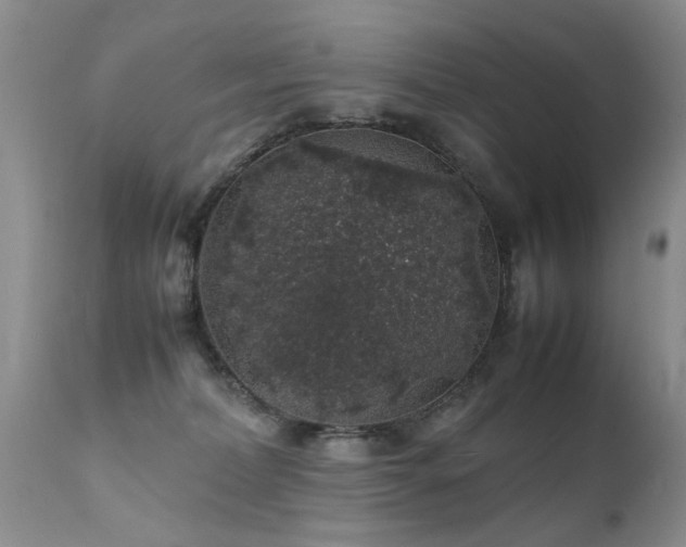 X0000112110228200908111450