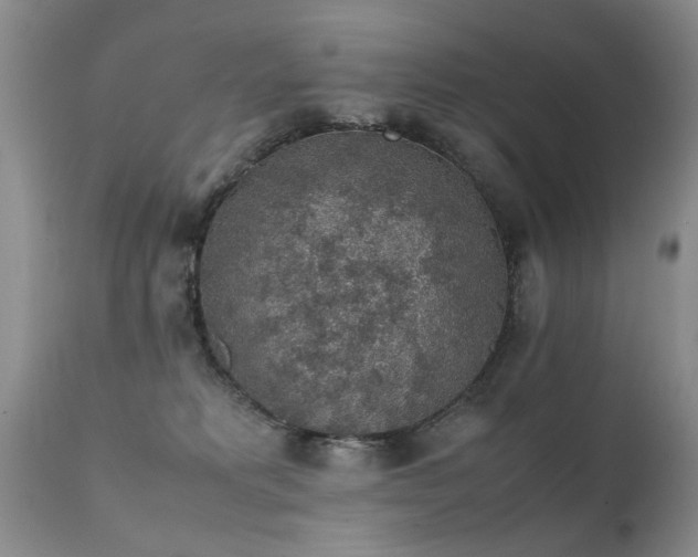 X0000112110229200908111450