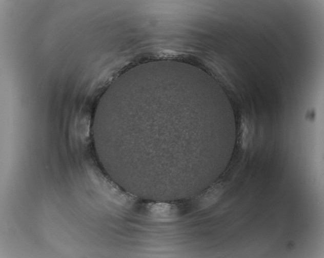 X0000112110230200908111450