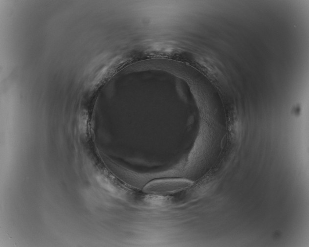 X0000112110231200908111450