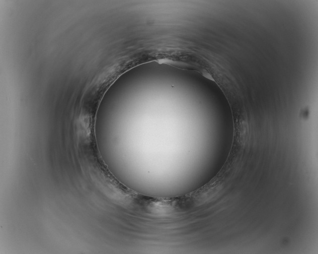 X0000112110232200908111450