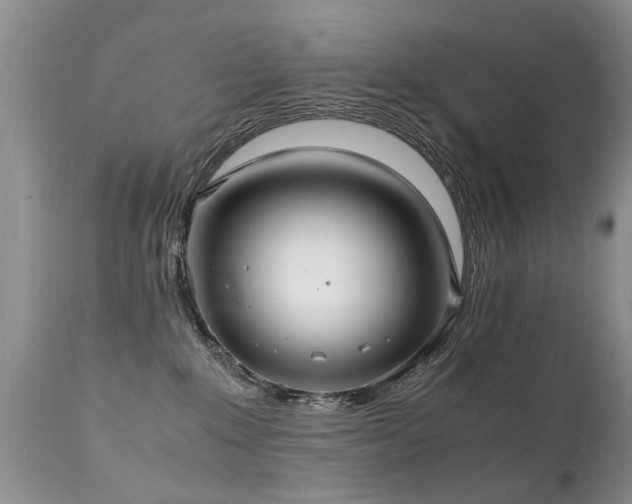 X0000112110235200908111450