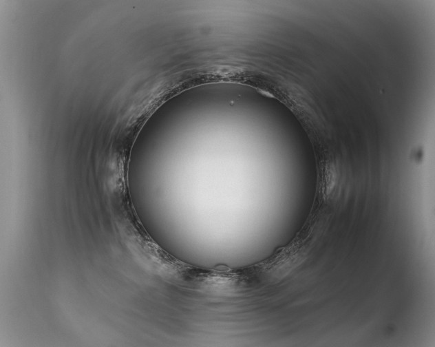 X0000112110236200908111450