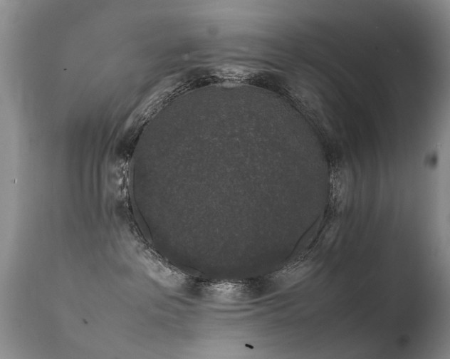 X0000112110237200908111450