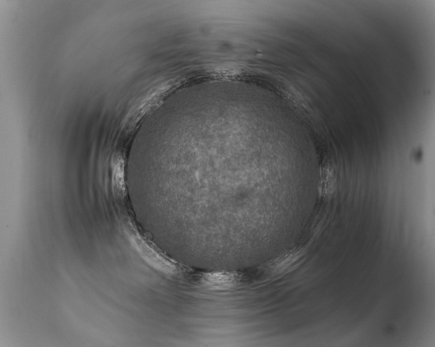 X0000112110238200908111450