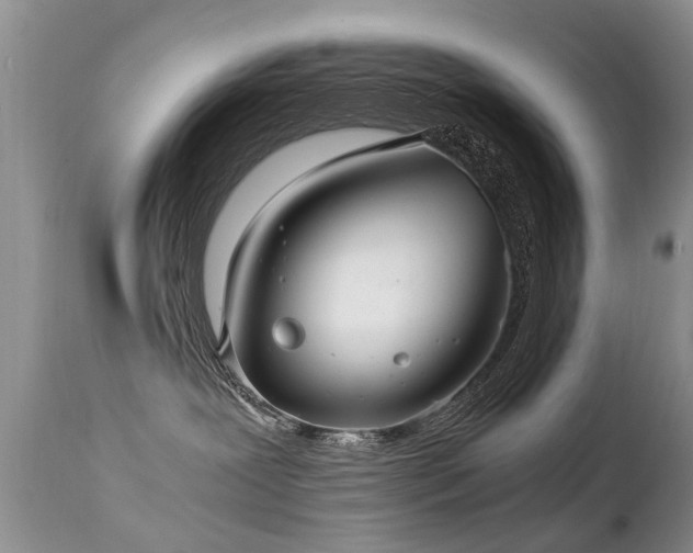 X0000112110239200908111450