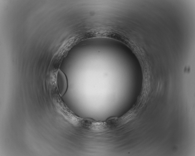 X0000112110240200908111450