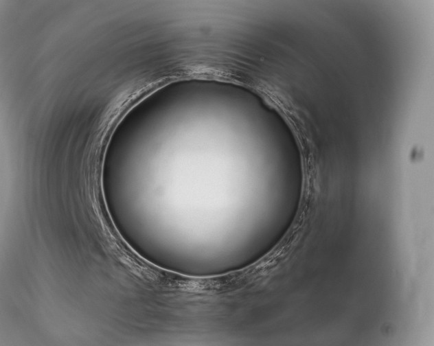 X0000112110241200908111449