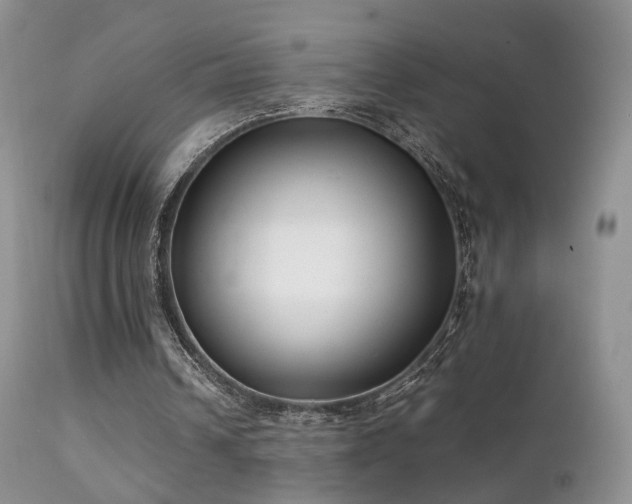 X0000112110242200908111449