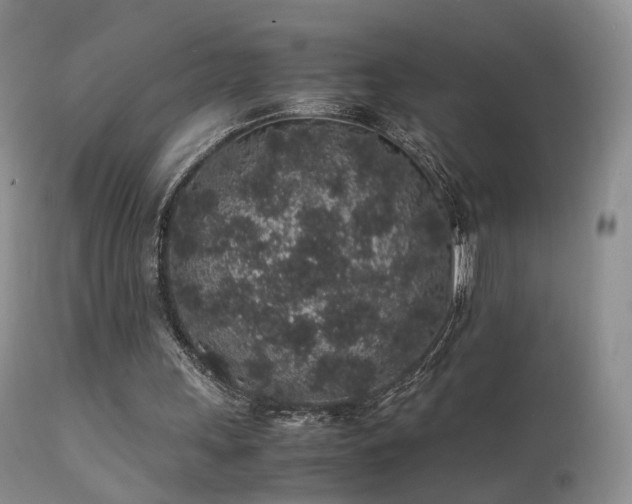 X0000112110243200908111449