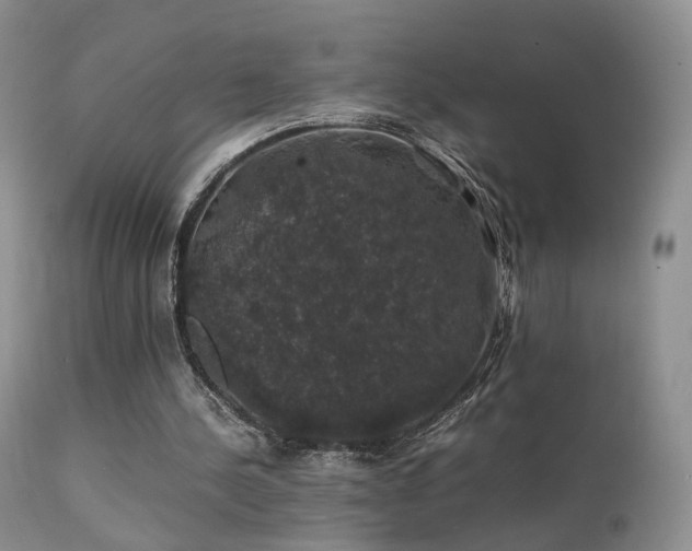 X0000112110244200908111449