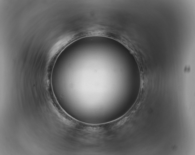 X0000112110245200908111449