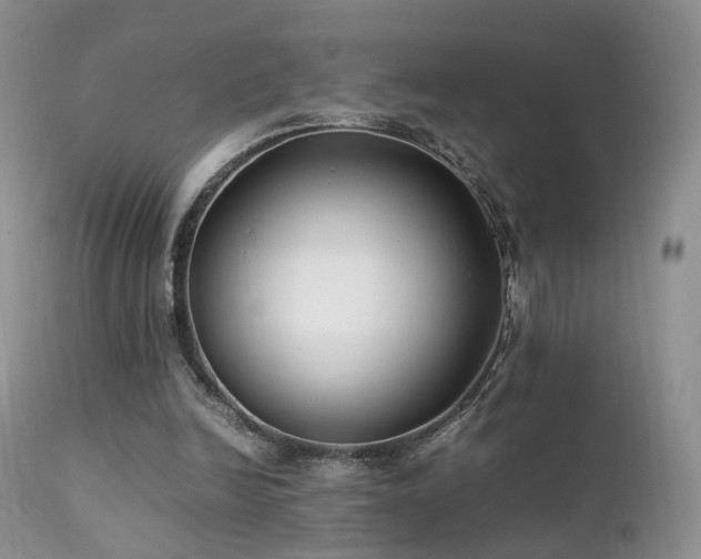 X0000112110246200908111449