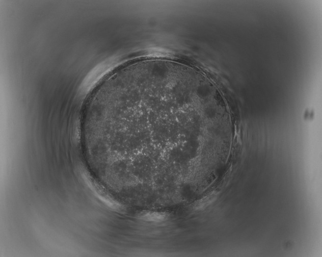 X0000112110247200908111449