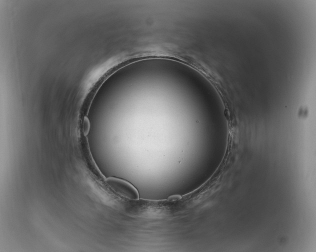 X0000112110248200908111449