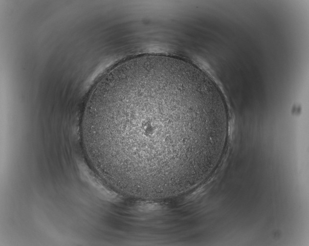 X0000112110249200908111449