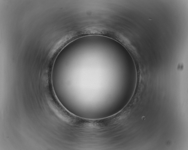 X0000112110250200908111449