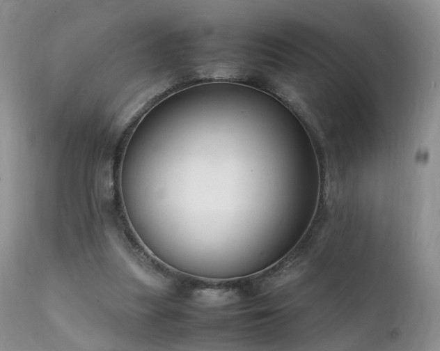 X0000112110251200908111449