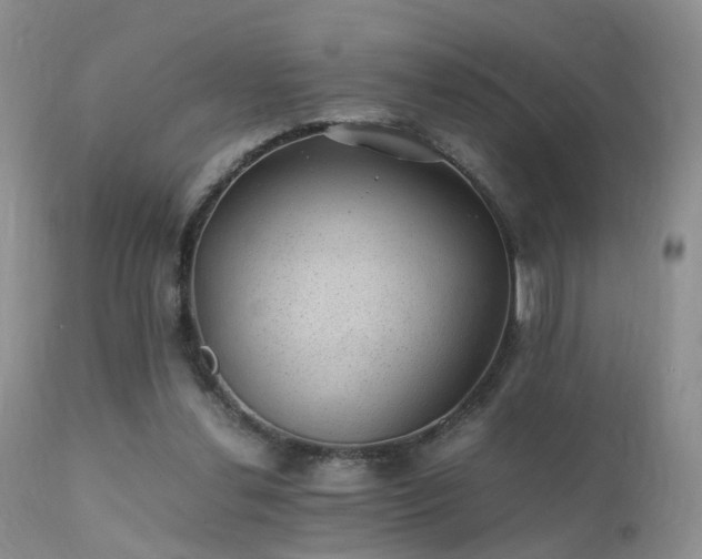 X0000112110252200908111449