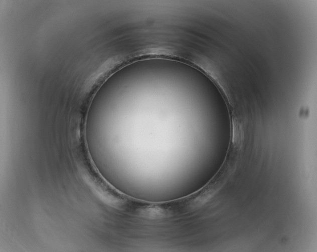 X0000112110253200908111449