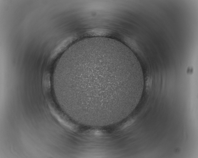 X0000112110254200908111449