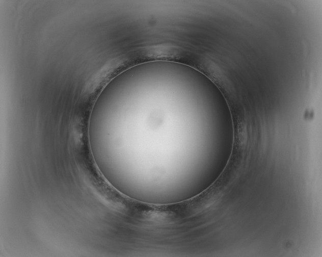 X0000112110255200908111449