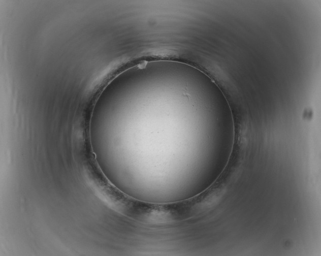 X0000112110256200908111449