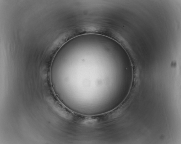 X0000112110257200908111449